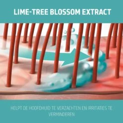 Goldwell Dualsenses Scalp Specialist Sensitive Foam Shampoo 250ml -Winkel Voor Haarverzorgingsproducten 4021609029359 3 1