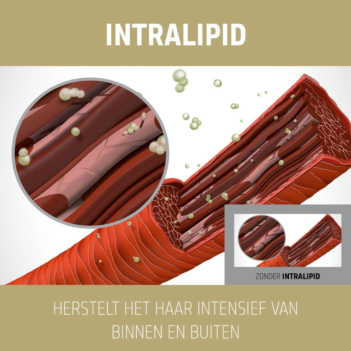 Goldwell Dualsenses Rich Repair 60sec Treatment 200ml Goldwell Dualsenses Rich Repair 60sec Treatment 200ml -Winkel Voor Haarverzorgingsproducten 4021609061397 3 1