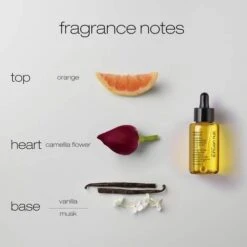 Shu Uemura Essence Absolue Nourishing Soothing Scalp Oil Concentrate 50ml -Winkel Voor Haarverzorgingsproducten shu uemura art of hair essence absolue nourishing soothing scalp oil4